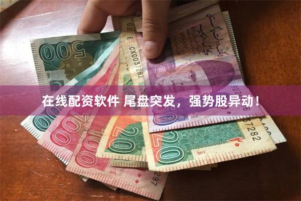 在线配资软件 尾盘突发，强势股异动！