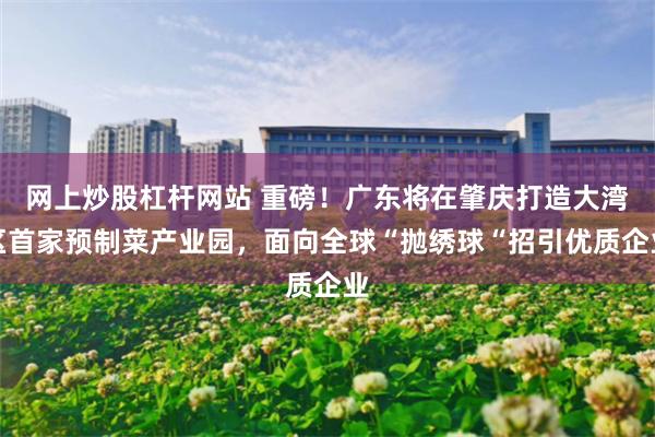 网上炒股杠杆网站 重磅！广东将在肇庆打造大湾区首家预制菜产业园，面向全球“抛绣球“招引优质企业