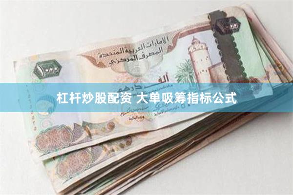 杠杆炒股配资 大单吸筹指标公式