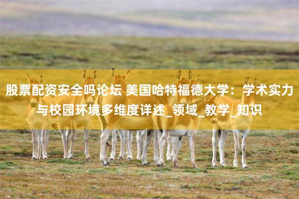 股票配资安全吗论坛 美国哈特福德大学：学术实力与校园环境多维度详述_领域_教学_知识