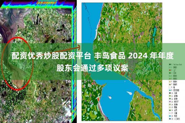 配资优秀炒股配资平台 丰岛食品 2024 年年度股东会通过多项议案