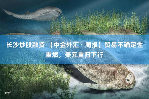 长沙炒股融资 【中金外汇 · 周报】贸易不确定性重燃，美元重归下行