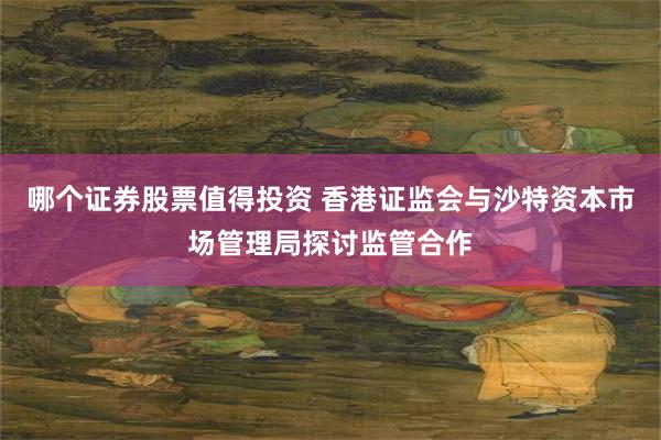 哪个证券股票值得投资 香港证监会与沙特资本市场管理局探讨监管合作
